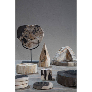 Relic Petrified Wood Serving Board