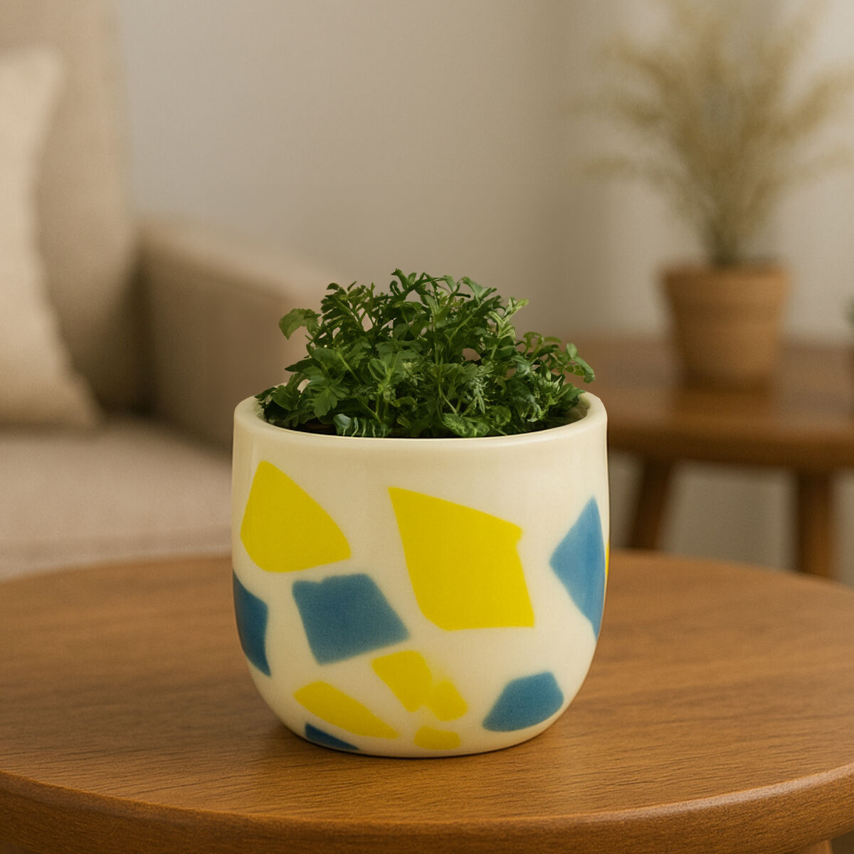 Abstract Design Glass Planter | Carra