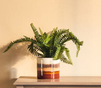 Small Planter | Sorrell