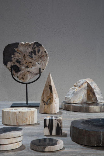 Petrified Wood Bowl | Relic