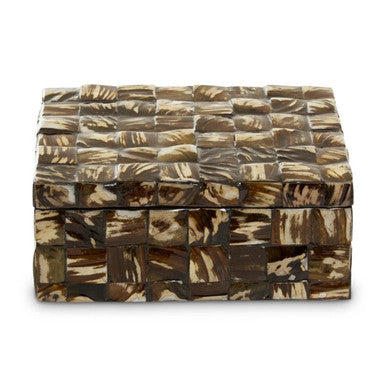 Branna Large Natural Shell Detail Box