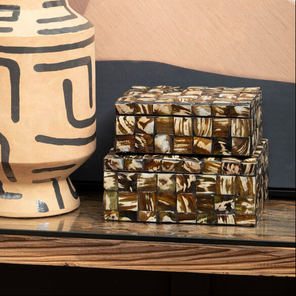 Branna Large Natural Shell Detail Box