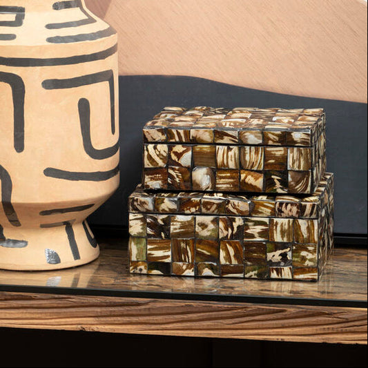 Branna Large Natural Shell Detail Box