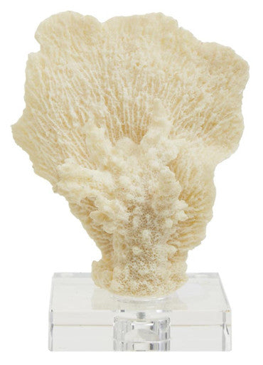Small White Coral Decor | Boho