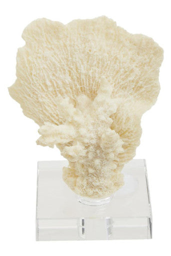 Small White Coral Decor | Boho
