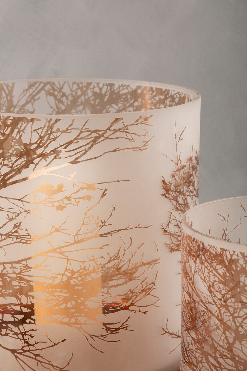 Large Glass Hurricane Candle Holder | Branch