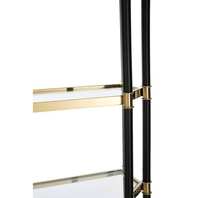5 Shelf Unit In Champagne Finish and Black Frame | Allessi