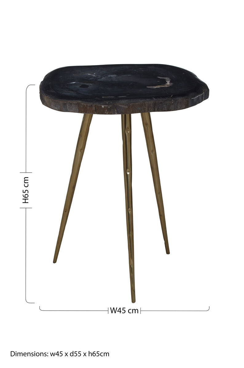 Relic Side Table With Petrified Wood Top and Brass Finish Legs