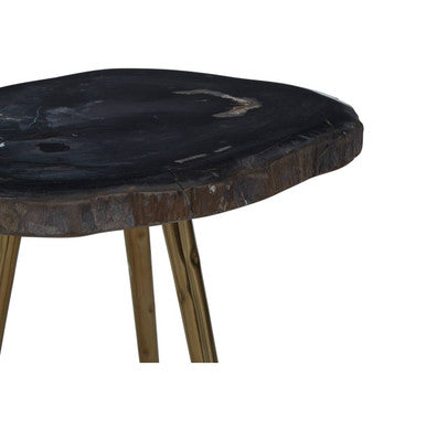 Brown Petrified Wood Top Side Table with Brass Finish Angular Legs | Relic