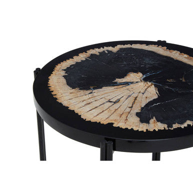 Black Petrified Wood Top Side Table with Cross-Base Legs | Relic