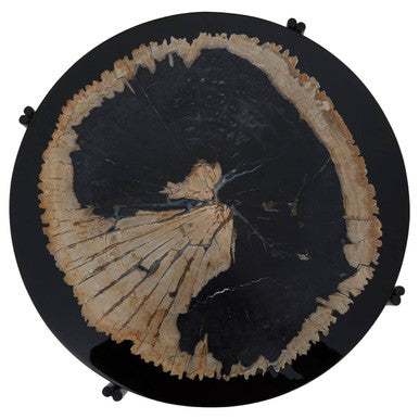 Relic Petrified Wood and Resin Side Table