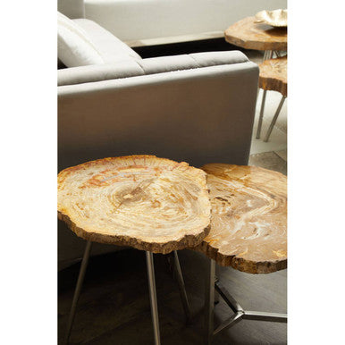 Relic Small Petrified Wood Side Table