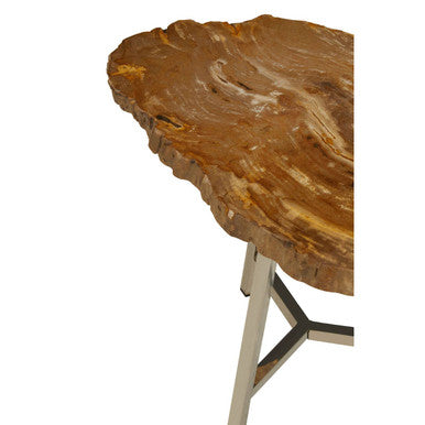 Relic Small Petrified Wood Side Table