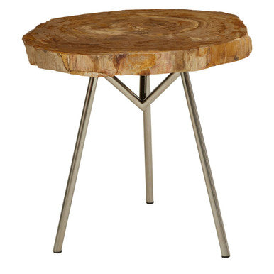 Relic Medium Petrified Wood Side Table