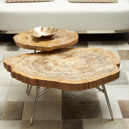 Natural Medium Rustic Petrified Wood Top Side Table with Silver Finish Metal Frame | Relic