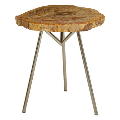 Natural Large Rustic Petrified Wood Top Side Table with Silver Finish Metal Frame | Relic