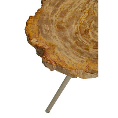 Relic Large Petrified Wood Side Table