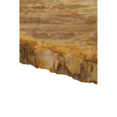 Relic Large Petrified Wood Side Table