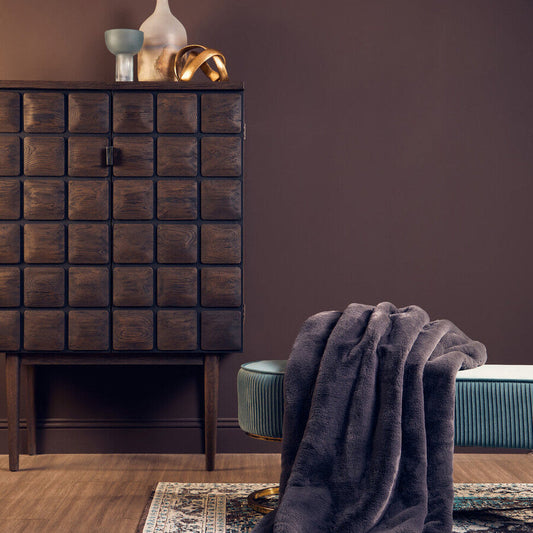 Lucca Recycled Dark Oak Wood Cabinet