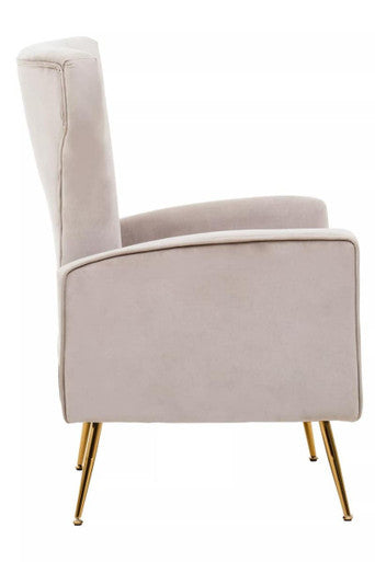 Mink Velvet Accent Chair With Gold Finish Legs | Zamora