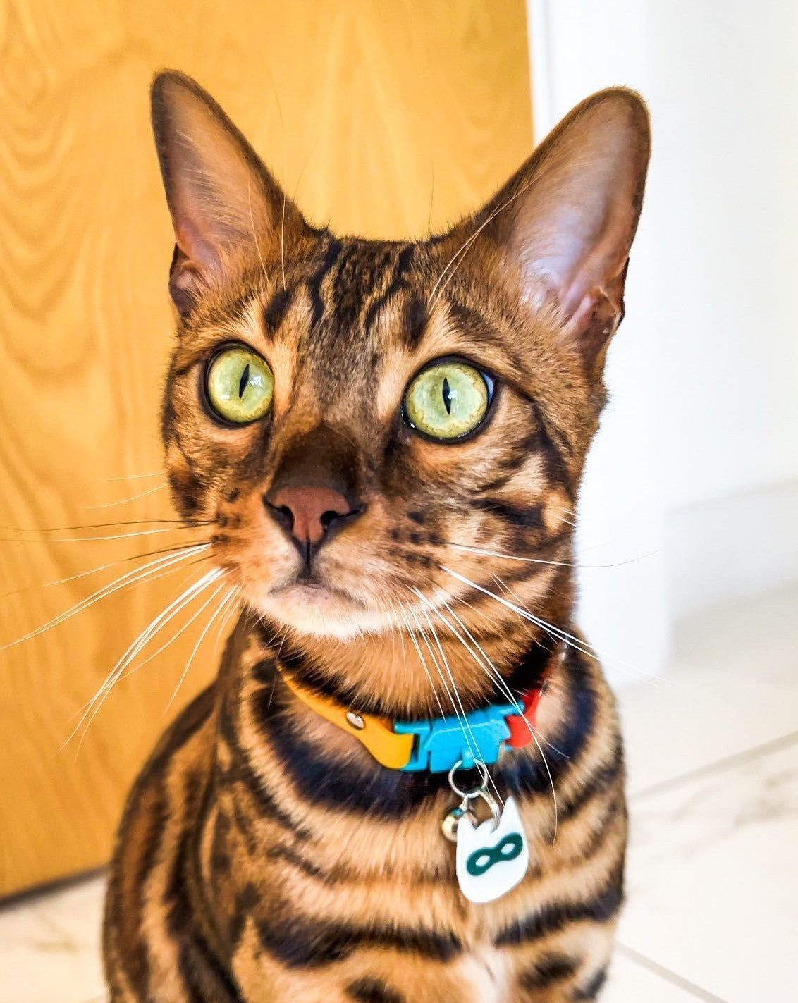 KITTYRAMA SILVER NINJA CAT CHARM – Reflective, Safe, High Visibility