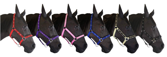 Padded Headcollar
