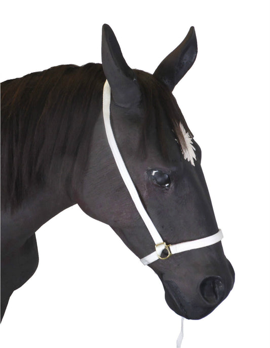 Webbing Show Halter