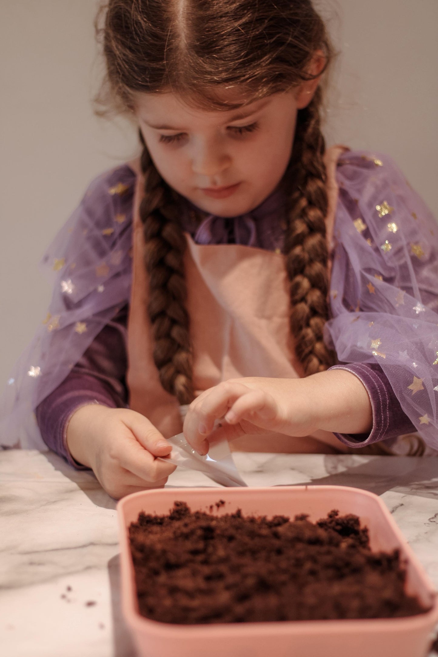 Fairy Garden Starter Kit (Apron,Tray, Shovel, Fairies, Soil & Seeds)