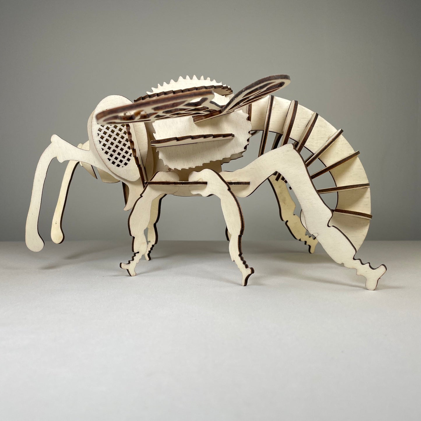 Bee Puzzle - Flatpack Model Kit by Curious Rabbit ®