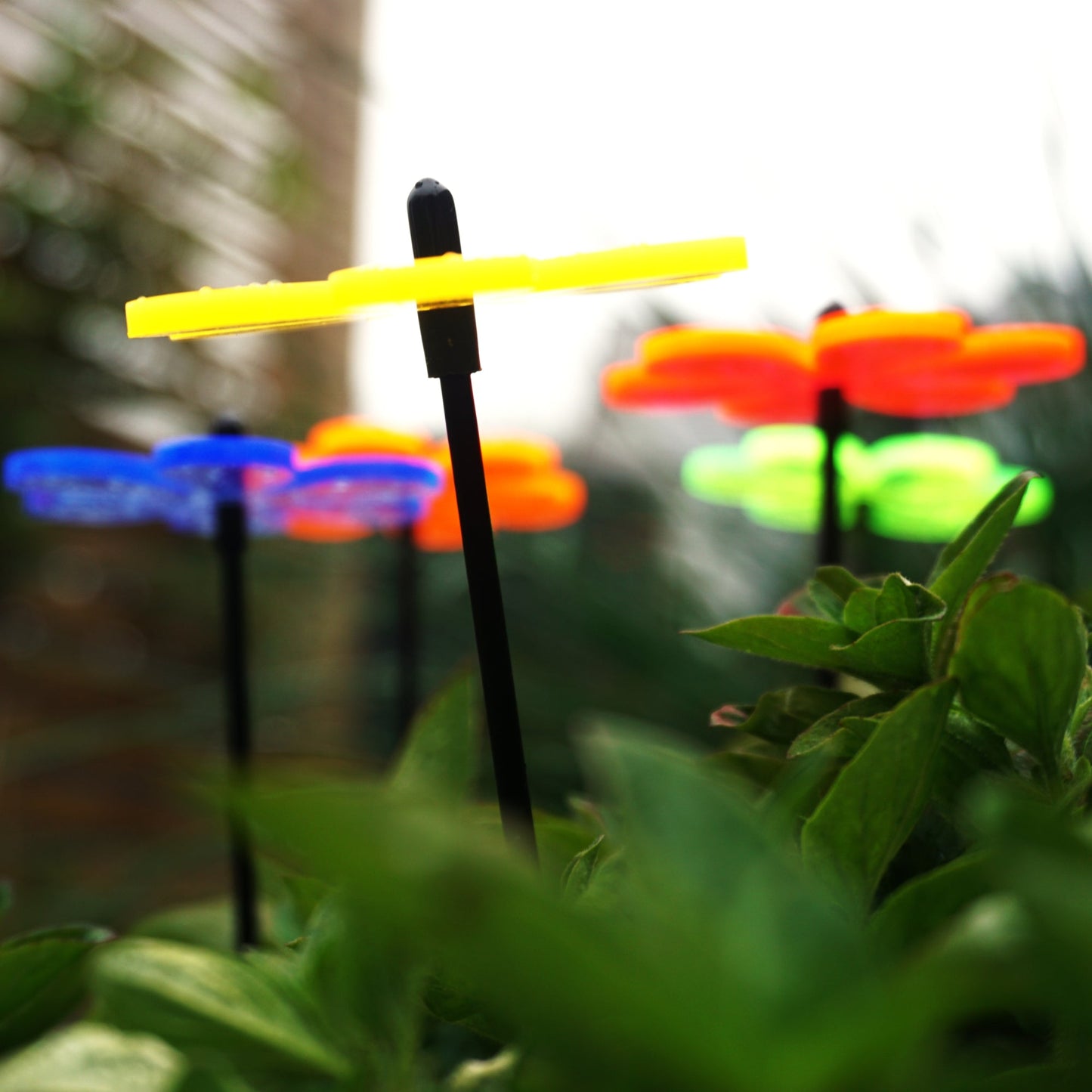 Small Garden Décor Ornaments Set of 5 'Daisy'