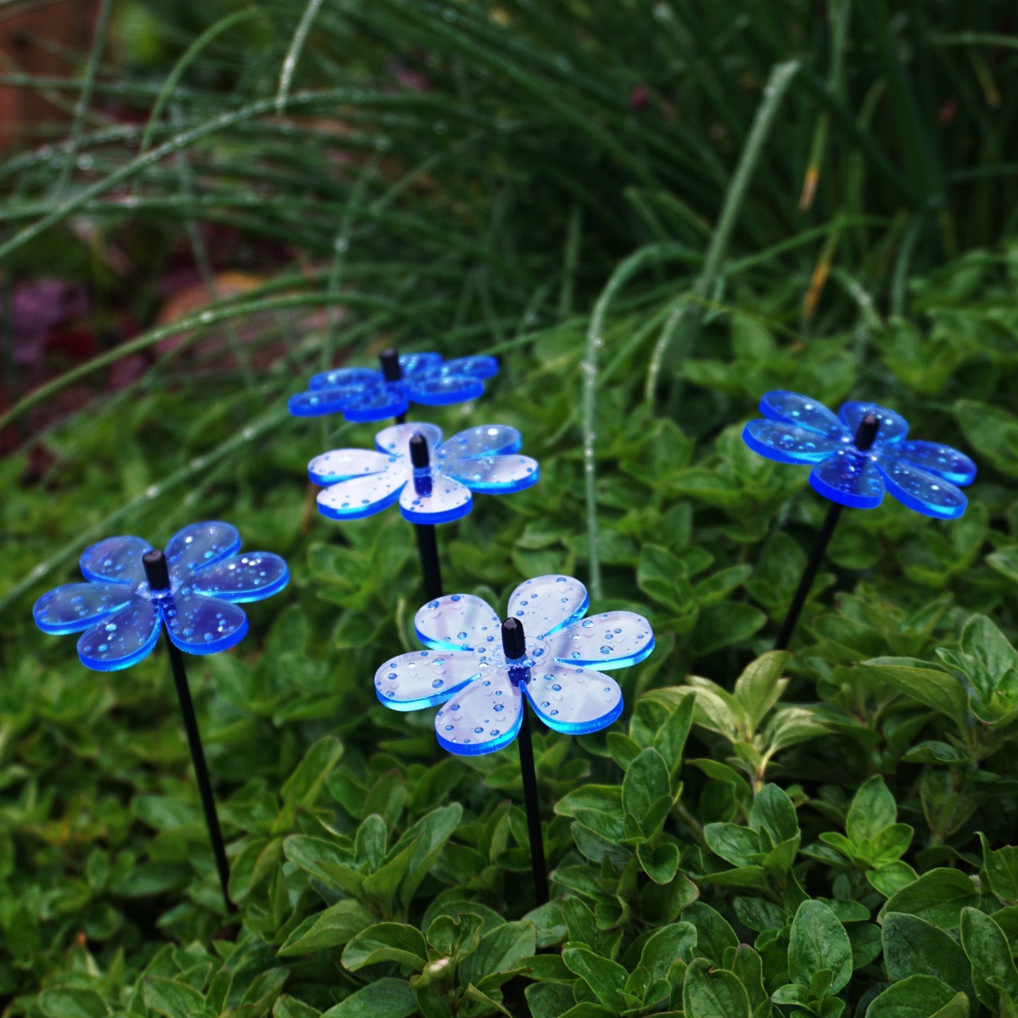 Small Garden Décor Ornaments Set of 5 'Daisy'