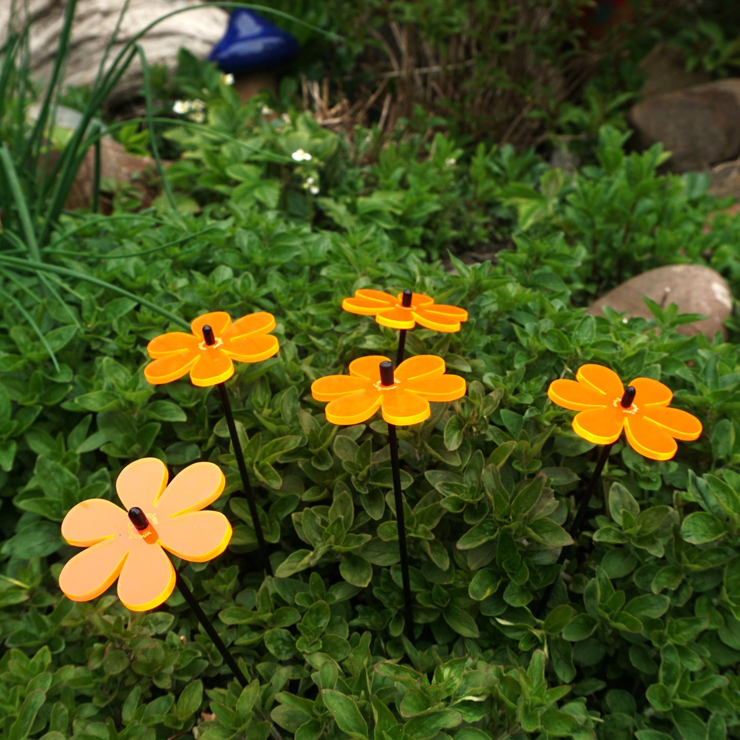 Small Garden Décor Ornaments Set of 5 'Daisy'