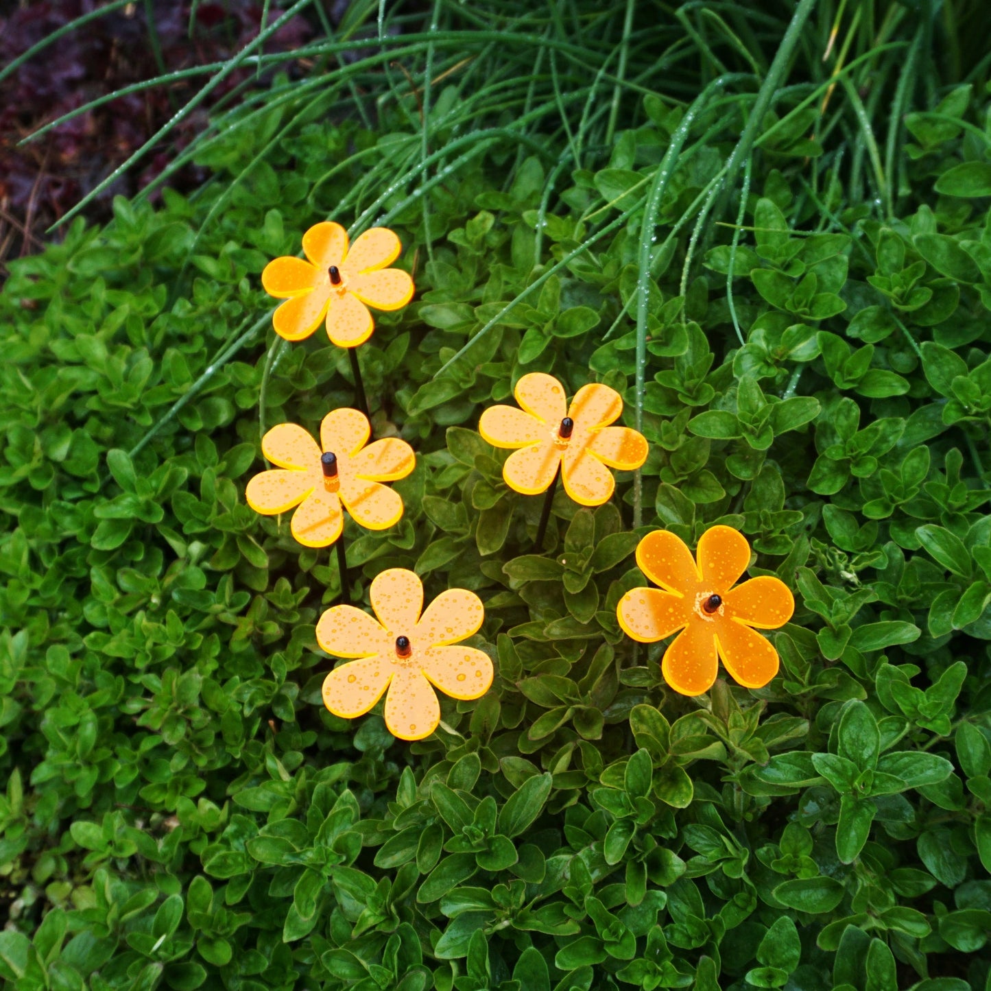 Small Garden Décor Ornaments Set of 5 'Daisy'