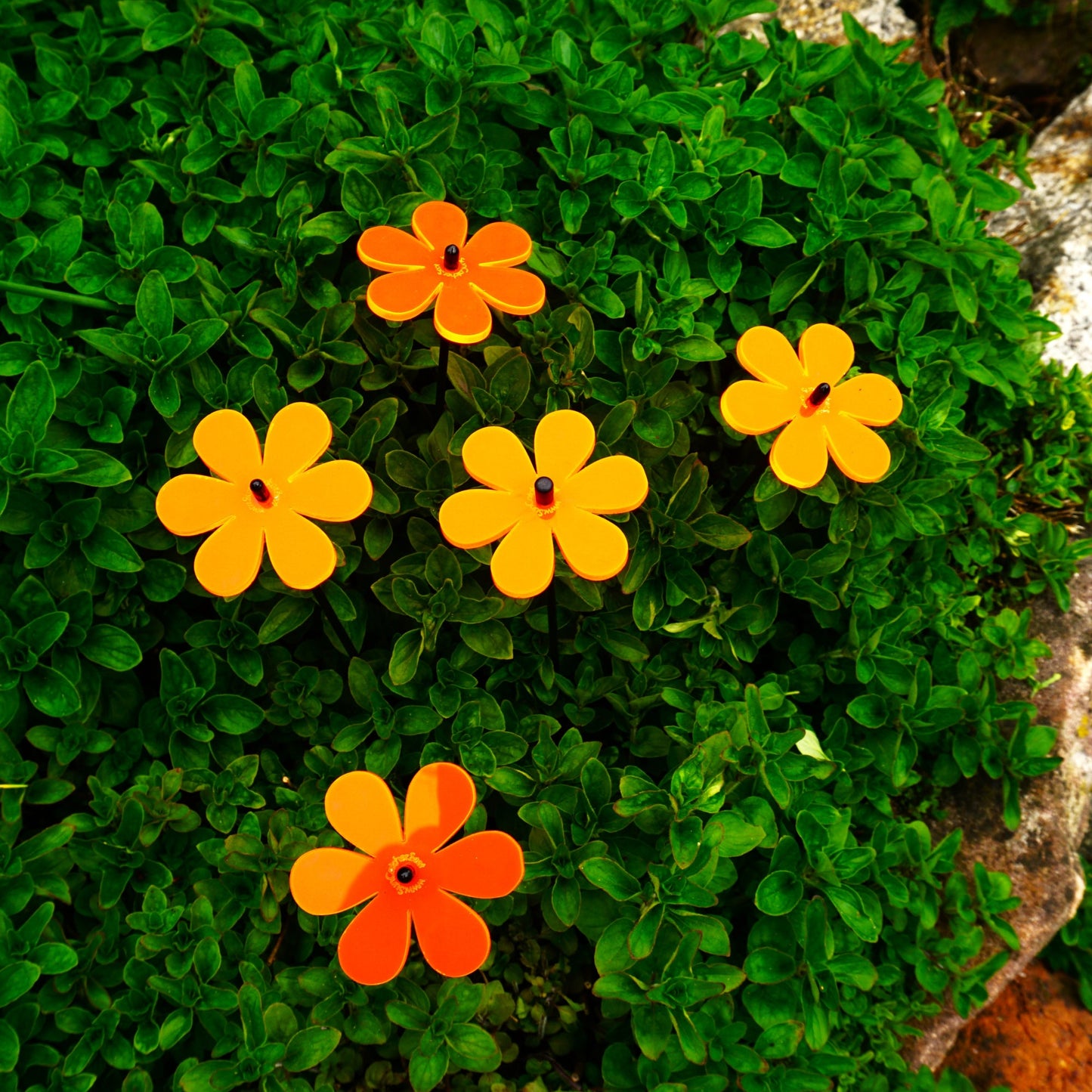 Small Garden Décor Ornaments Set of 5 'Daisy'