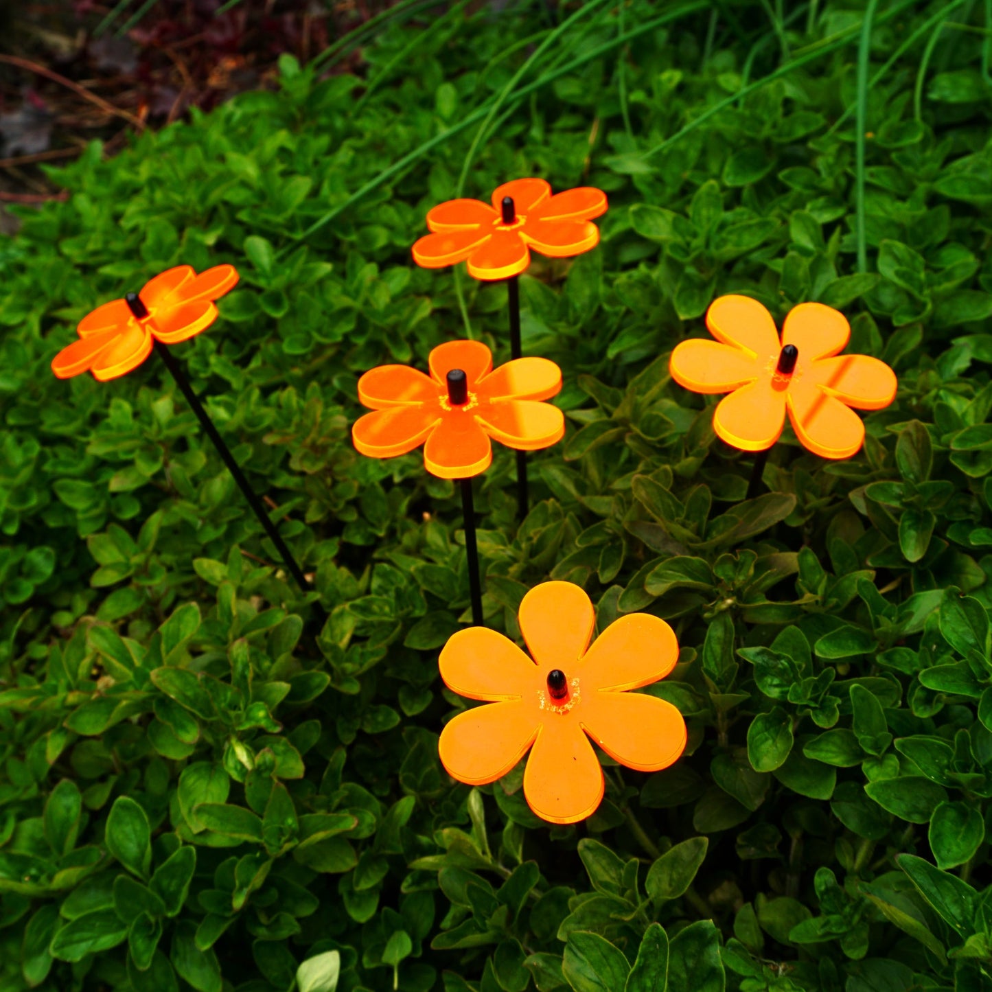 Small Garden Décor Ornaments Set of 5 'Daisy'