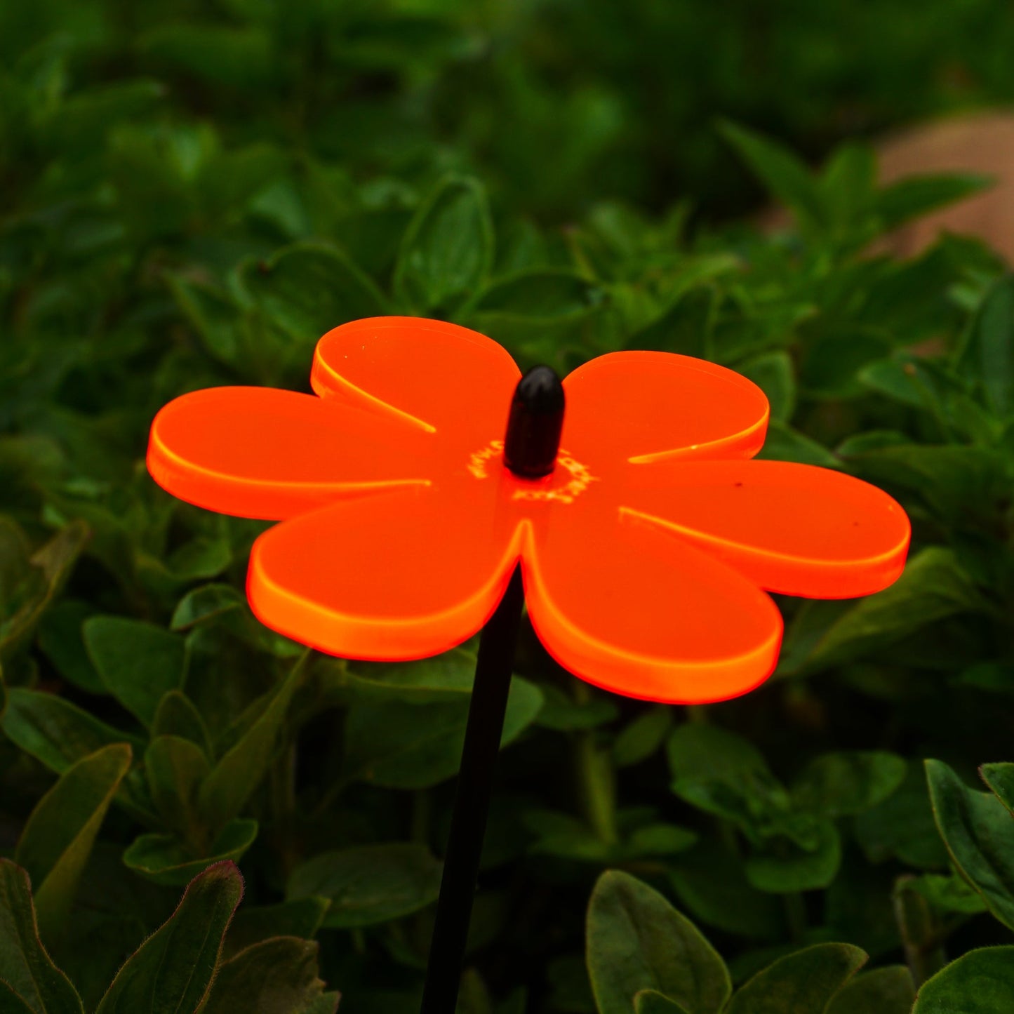 Small Garden Décor Ornaments Set of 5 'Daisy'