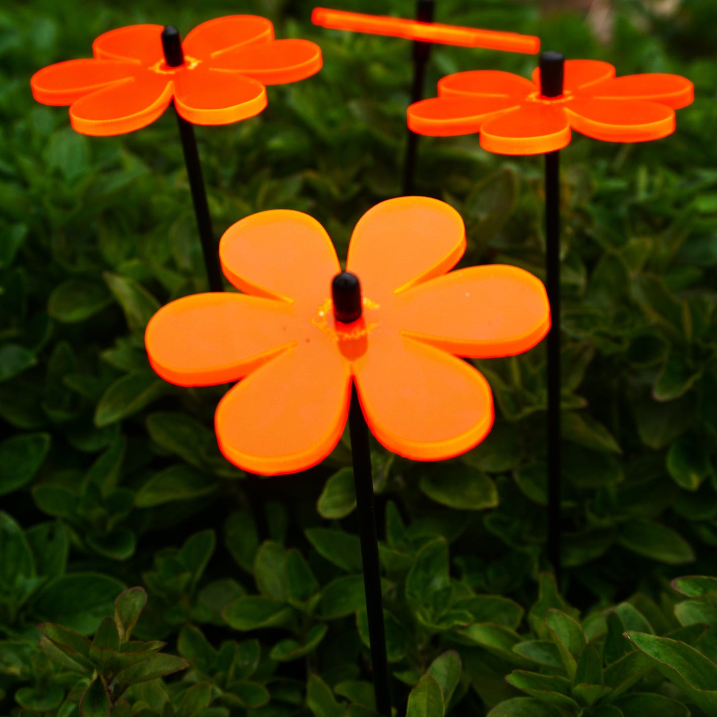 Small Garden Décor Ornaments Set of 5 'Daisy'