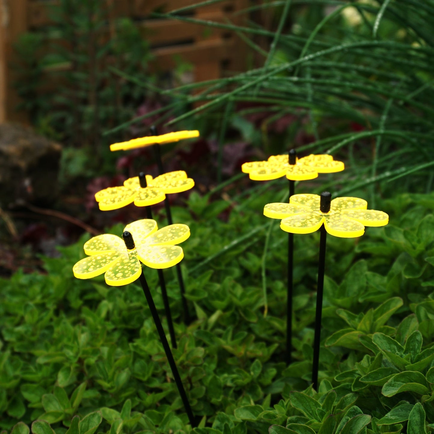 Small Garden Décor Ornaments Set of 5 'Daisy'