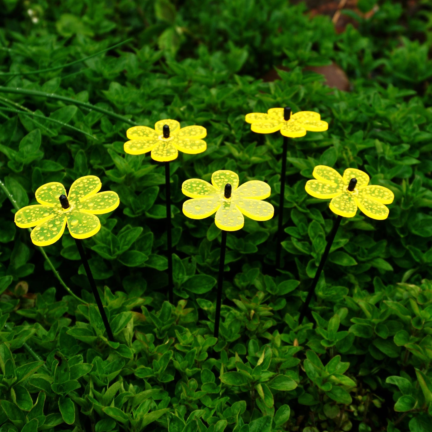 Small Garden Décor Ornaments Set of 5 'Daisy'