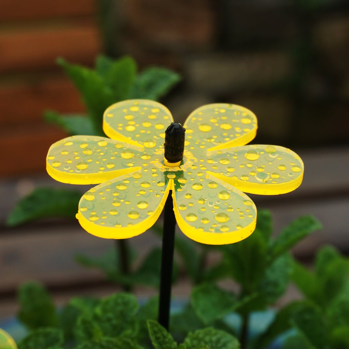 Small Garden Décor Ornaments Set of 5 'Daisy'