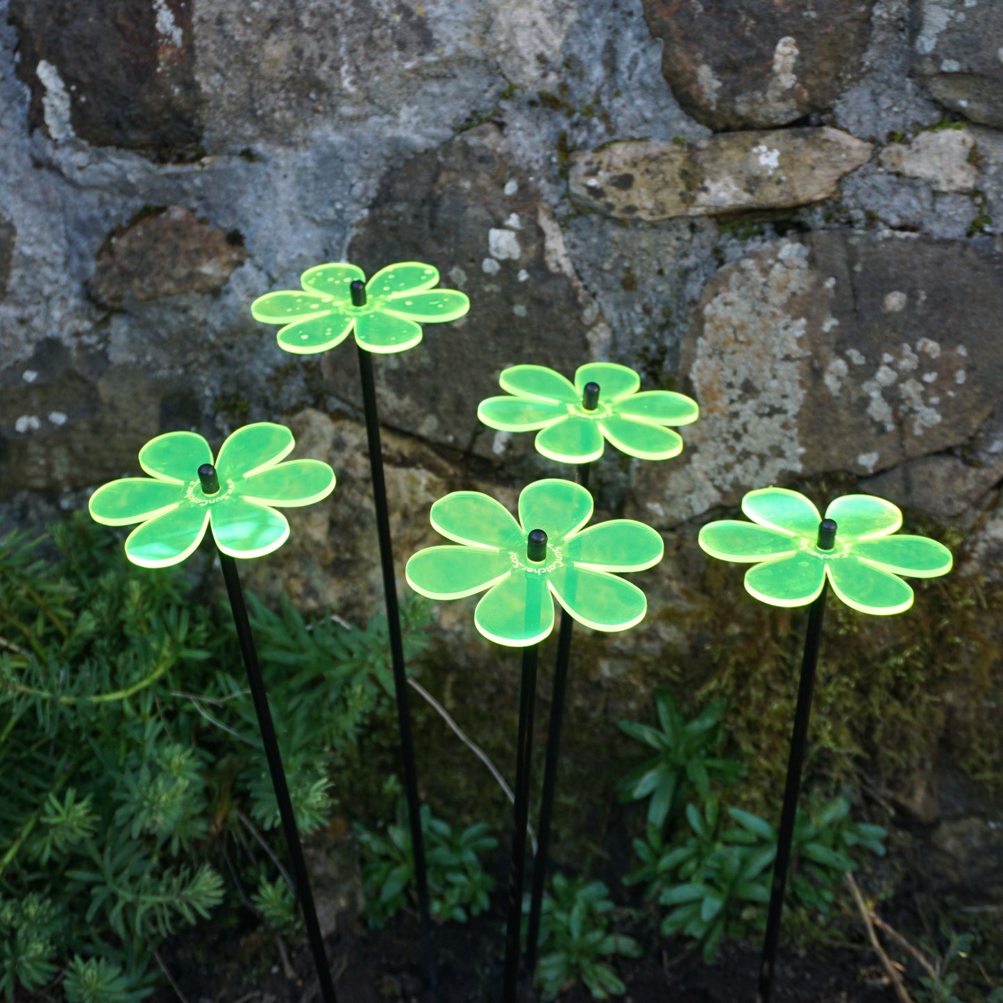 Garden Décor Ornaments Set of 5 'Daisies'