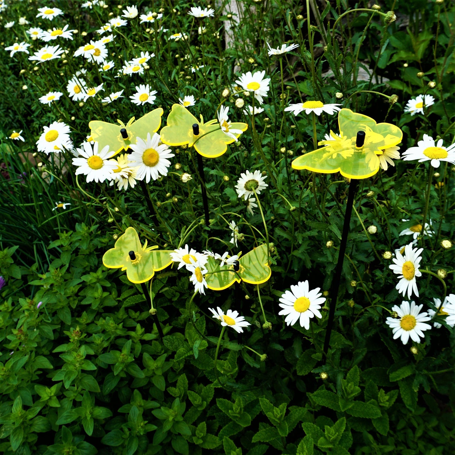Garden Décor Ornaments Set of 5 'Gatekeeper Butterflies'
