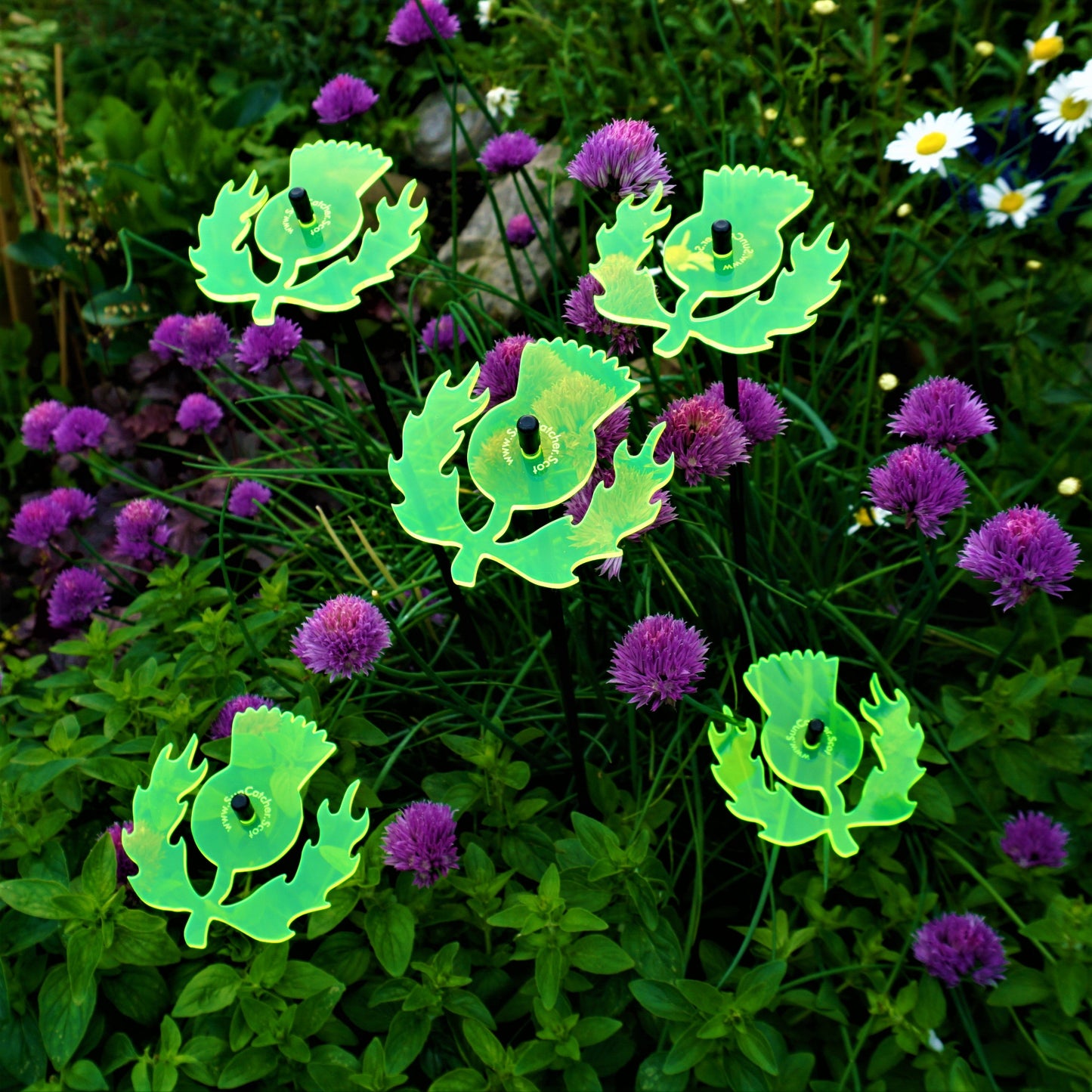 Medium Garden Décor Ornaments Set of 5 'Scottish Thistles'