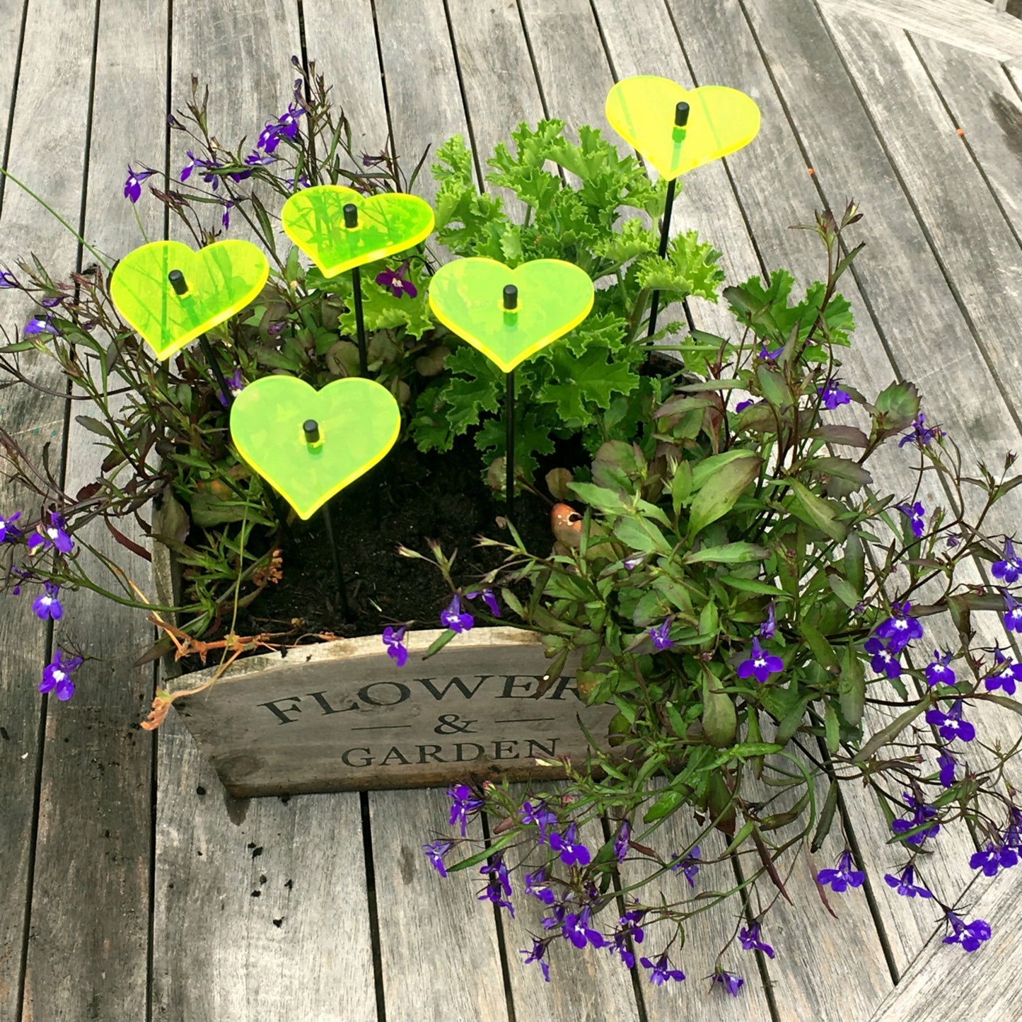 Small Garden Décor Ornaments Set of 5 'Hearts'