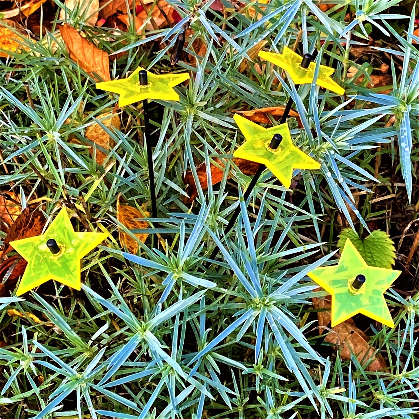 Garden Décor Ornaments Set of 5 small 'Shining Stars'