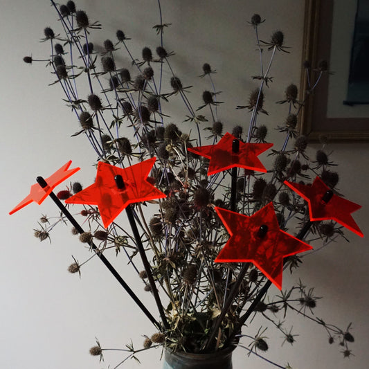 Garden Décor Ornaments Set of 5 'Shining Stars'