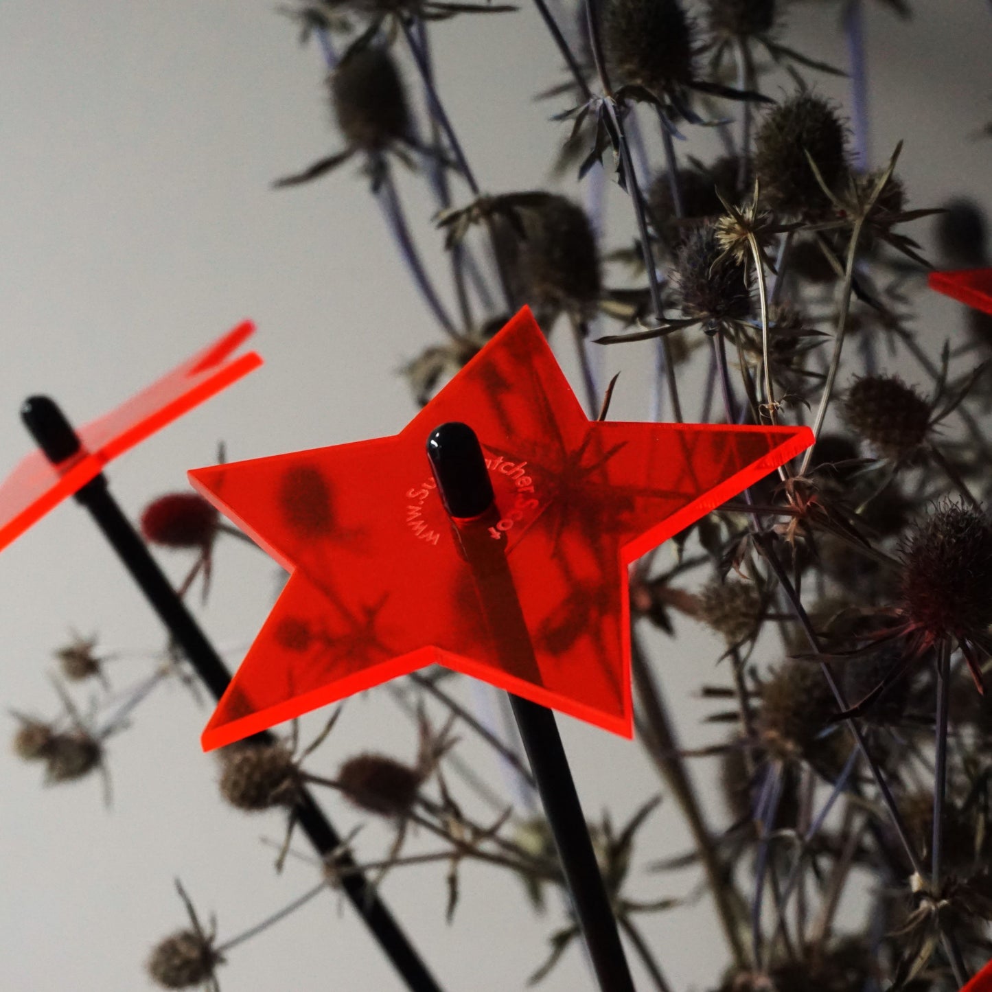 Garden Décor Ornaments Set of 5 'Shining Stars'