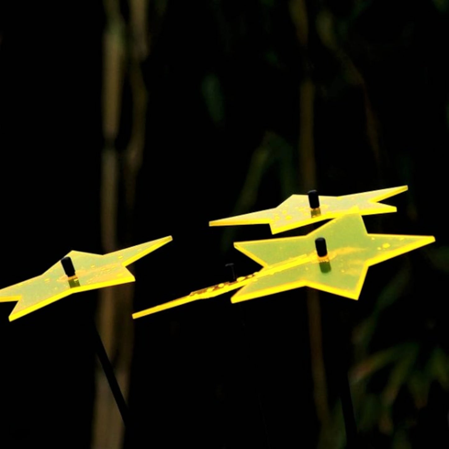 Large Garden Décor Ornaments Set of 5 'Shining Stars'