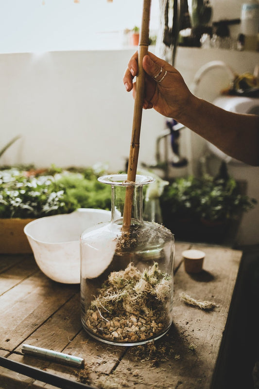 06/06/2026 at 11am XL Closed Terrarium Workshop for Two