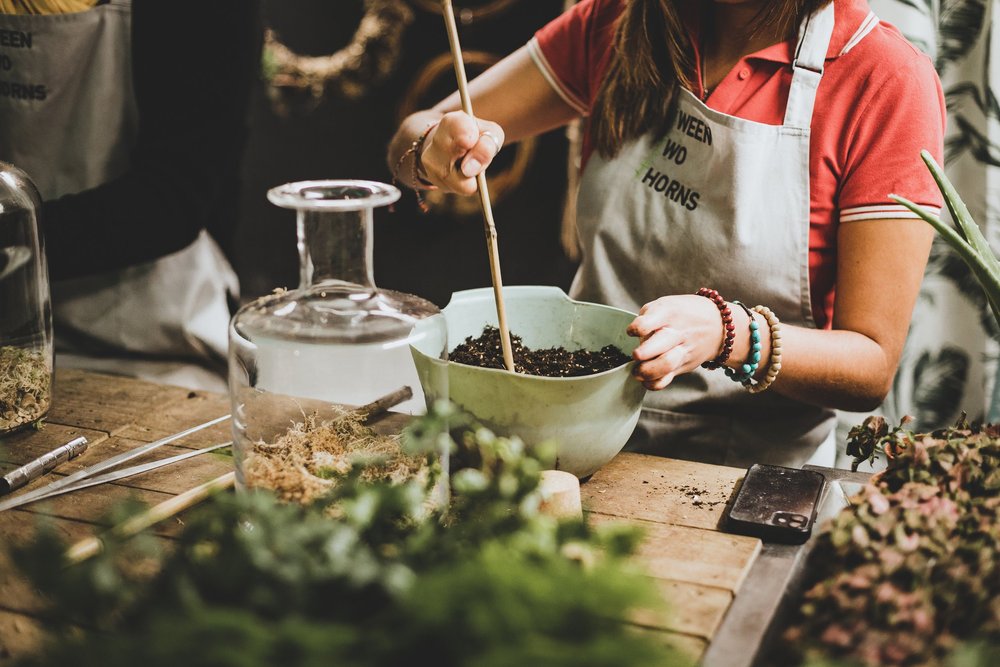 11/04/2026 at 11am Closed terrarium workshop